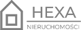 Hexa-silver.png